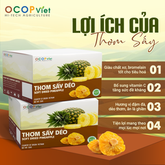 Thơm sấy dẻo - Soft Dried Pineapple Brand Name OCOP Viet Place of Origin Vietnam Packaging Details - Image 2