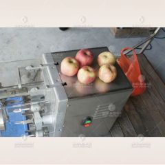 Industrial Vegetable Fruit Apple Processing Equipment Pear Peeling Coring Cutting Machine - Image 2