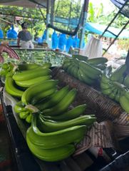 Fresh Green Banana - Image 1