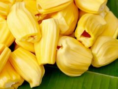 Fresh Jackfruit Export from Vietnam - 100% Organic High Quality (Certification: GAP, HACCP...) - Image 2