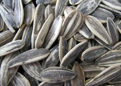 sunflower  seeds - Image 4