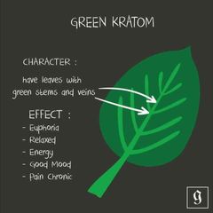 Kratom - Image 5