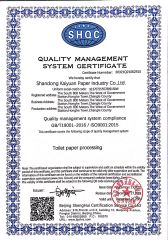 ISO 9001 certificate from Shandong Kaiyuan Paper Industry Co., Ltd.