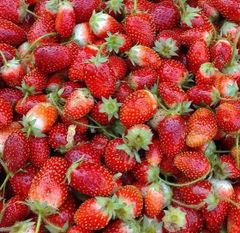 Fresh Strawberry - Image 1