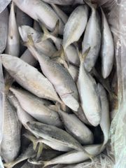 Horse Mackerel Length 20–35 Cm Parasite Free Yes Moisture Content ≤ 80% Shelf Life 12–24 Months Storage Temperature -18°c Or - Image 1