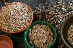 [Fresh/Roasted] CASHEW NUT (With/Without) Shells WITH HIGH QUALITY AND BEST PRICE - Image 3