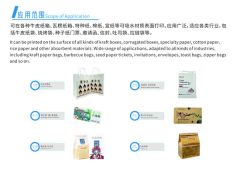 Single Pass Printer for Invitations Kraft Envelope Paper Bag - Image 3