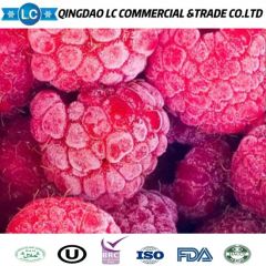 Frozen Raspberry Brokens, Frozen Raspoberries Brokens, IQF Raspberries Brokens, IQF Raspberry Brokens, Frozen Raspberry Crumbles, IQF Raspberries Crumbles - Image 6