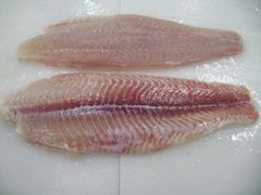 Frozen Pangasius Fillet Well-trimmed - Image 1