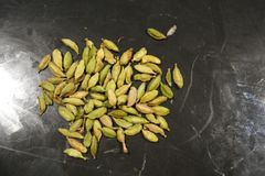 CARDAMOM - Image 1