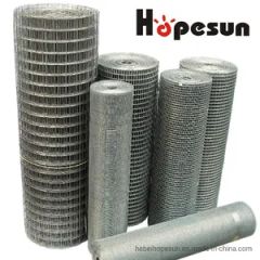 High Quality Hot Galvanized Welded Wire Mesh in Rolls - Image 4