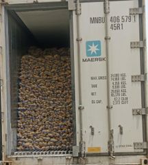 potatoes – product photo 1, product detail gallery