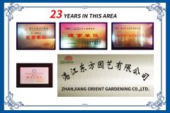23 YEARS certificate from ZHANJIANG ORIENT GARDENING CO., LTD.
