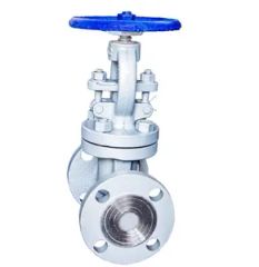 J41h-16c Cast Iron Globe Valve DN50 16kgs GB Manual 1Y Size DN50 Standard GB Origin China Pressure 16kgs Trademark HOMOR - Image 3