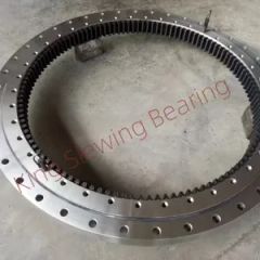 Komatsu Slewing Bearing Revolving Ring 21n-25-00201 PC1250 - Hefei King Slewing Bearing Technology Co., Ltd.
