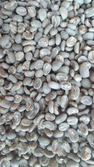 Premium Gayo Arabica Semi Washed – product photo 3, product detail gallery