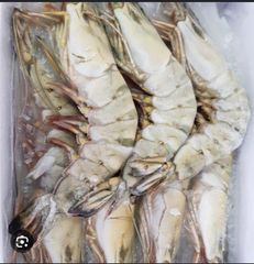Black tiger shrimps - Image 1