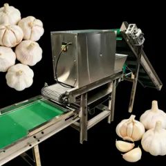 Long Life Robust Structure Intelligent Automatic Garlic Peeling Line - Image 5