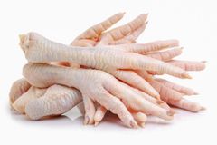 Premium Frozen Chicken Paws – Wholesale Bulk Supply for Export - Image 2