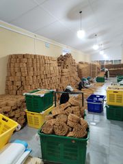 Ceylon cinnamon - Image 3