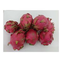 Fresh dragon fruit available in bulk for export to tropical fruit markets - Image 2