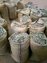 Raw Cashew Nuts - Image 2