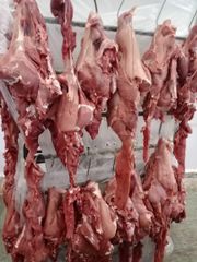 Frozen Buffalo Meat - Image 4