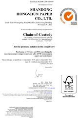 Our certificates certificate of Shandong Hongshun Paper Co., Ltd – certificate photo, supplier certificates section