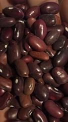 Red Kidney Beans 5% Broken – product photo 2, product detail gallery