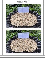 Aribica Lam Dong Coffee Beans  – product photo 2, product detail gallery