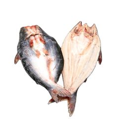 High Quality Pangasius Butterfly Basa Butterfly head off/bone on IQF Factory Price - Image 2
