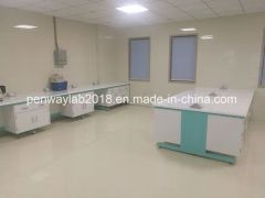Pharmaceutical Lab Bench Lab Furniture (GMP STANDARD) Origin China Condition New Color Optional Customized Customized Specification - Image 2