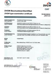 DVGW M 76-108mm certificate from Wenzhou Kasin Valve Pipe Fitting Co., Ltd.