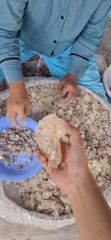 Gum Damar Sumatra Grade ABX - Image 2