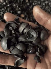 MACADAMIA SHELL CHARCOAL - Image 1