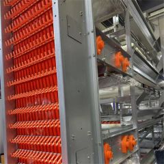 Modular Broiler Cage for Scalable Poultry Farming - Image 1