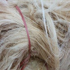 Best Price Hot Selling 100% Natural Sisal Fiber Uganda Eco-Friendly Anti-Bacteria Chemical-Resistant Spinning Concrete Use - Image 1