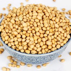 Wholesale Ukraine & Brazil Organic Non-Gmo Soyabean Yellow Soybean Soja Soya Beans - Image 3