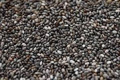 Premium Chia Seeds Iron ~7.7 Mg Purity ≥ 99.95% Protein ~16.5 G Calcium ~631 Mg Energy ~486 Kcal Total Fat ~30.7 G Omega-6 La ~5–6 - Image 2