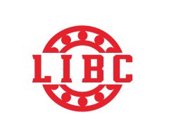 Laibisheng Bearing (Shandong) Co., Ltd.