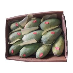 Bulk Chaunsa Fresh Fruit Mango from Pakistan - High Quality and Delicious - Image 3