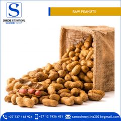 Wholesale Supplier of Raw Peanuts at Best Market Price Grade A Style Dried Type Peanut Packaging Bulk Processing Type - Image 3