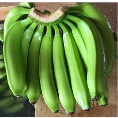 Best 100% High Quality Green Banana Fresh Cavendish banana Cheap prices – product photo 3, product detail gallery