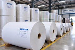 Offset Paper / Printing Paper Jumbo Roll - Image 1