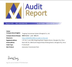 Company Certification certificate from Tengteng Transmission System (Shanghai) Co., Ltd.