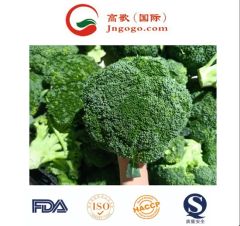 Superior IQF Frozen Broccoli - High Quality Vegetable HS Code 0710809090 Production Capacity 2000 Mts Transport Package - Image 1