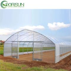 Plastic Single Span Temperature Control Grow Greenhouses Size Large Width 6-10m Span Single Layer Double Length 20-200m Location - Image 4