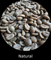 Sumatra Gayo Arabica Green Coffee Beans - Natural Process - Image 3