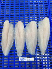 PANGASIUS FILLETS FROZEN - Image 1