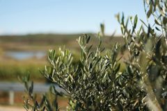 Company – thumbnail 2 of 11, supplier detail gallery